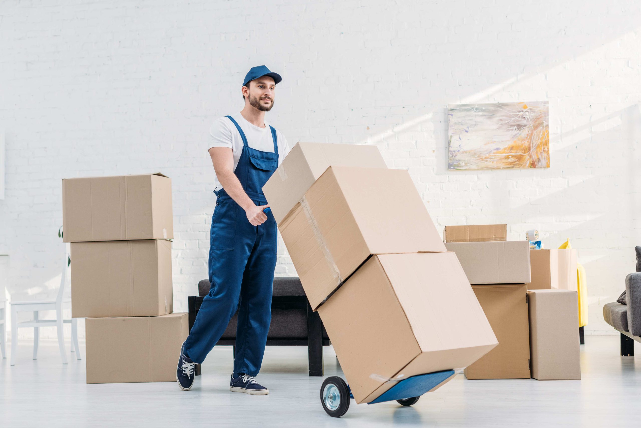 mover-in-uniform-transporting-cardboard-boxes-on-2024-11-18-00-12-43-utc (1)